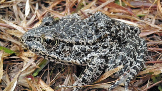 8718618640_6f760b8225_k